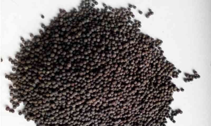 http://m.shzhonghao.com